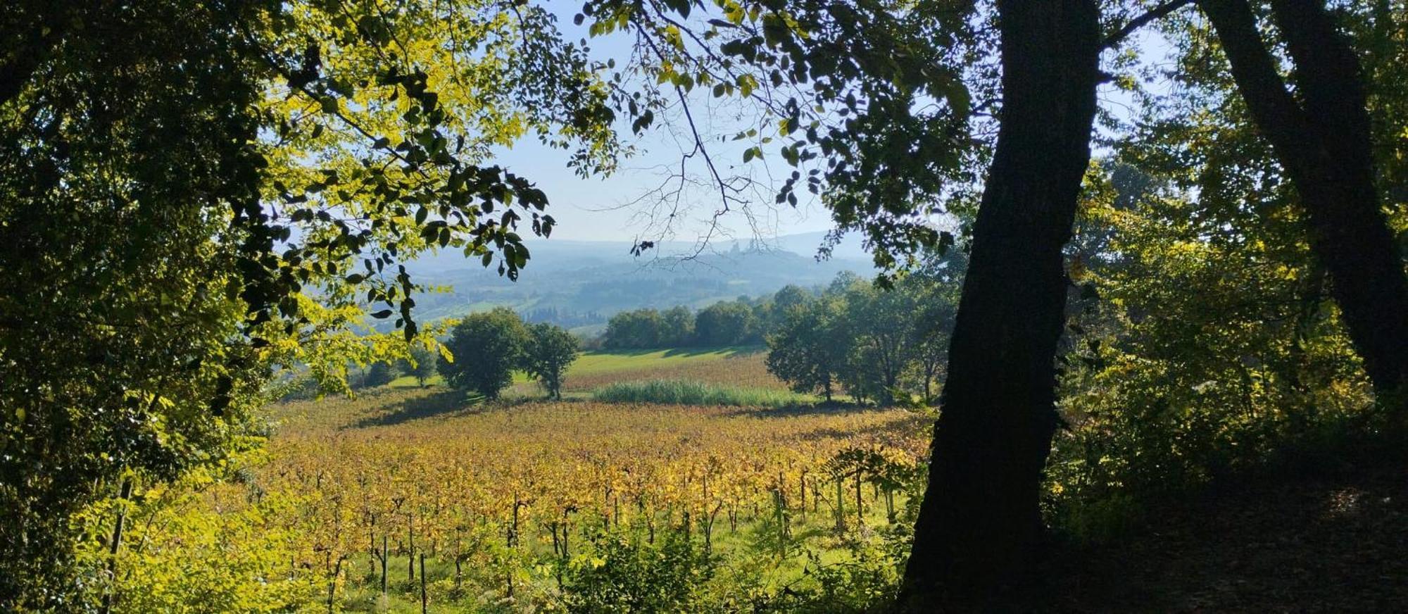 Cielo - Antica Casa Sulla Via Francigena San Gimignano Exterior foto